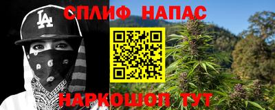 гашик Волжский