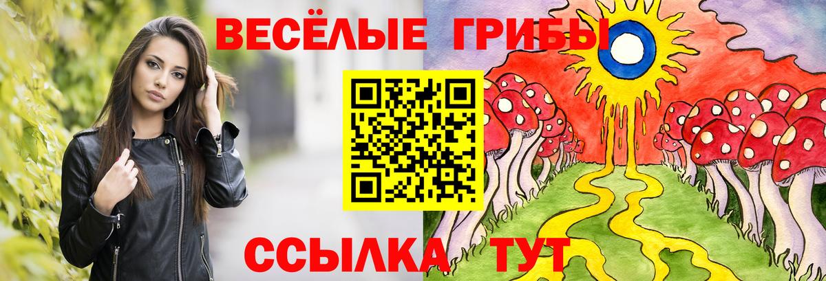 Галлюциногенные грибы Psilocybine cubensis  даркнет сайт  Вход с VPN  Якутск  Галлюциногенные грибы Cubensis 
